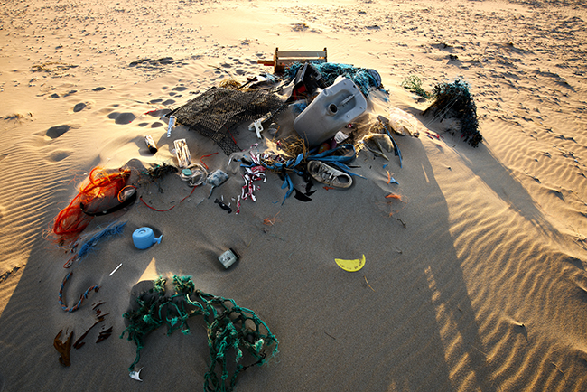 Local Diving - Beach Clean