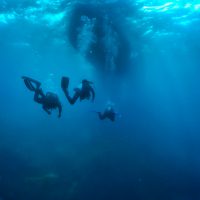 PADI Divers