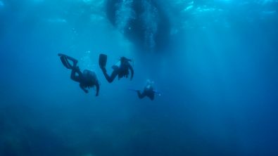 PADI Divers
