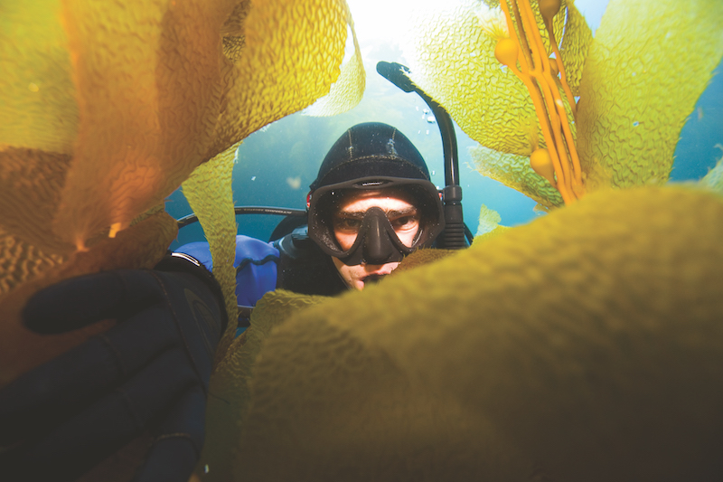 Come creare un programma Master Scuba Diver personalizzato