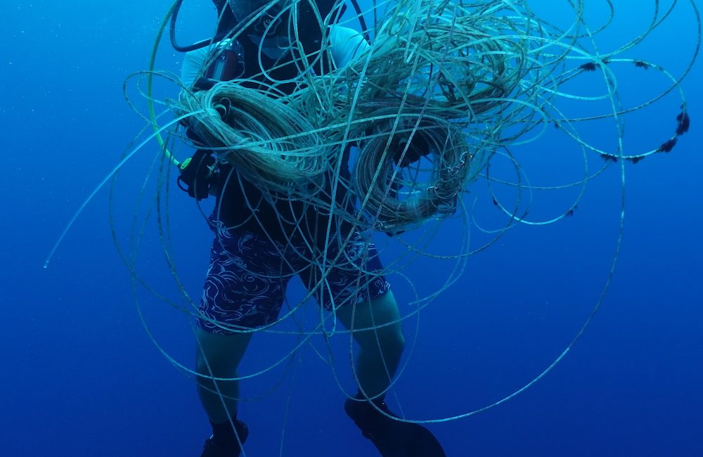 Edgardo Ochoa Proves There’s Still Hope for the Gulf of California