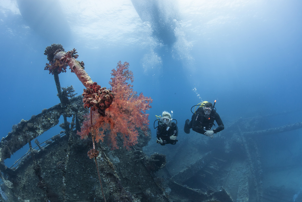 wreck diving red sea