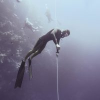 Akim Ladhari - Deep Dive