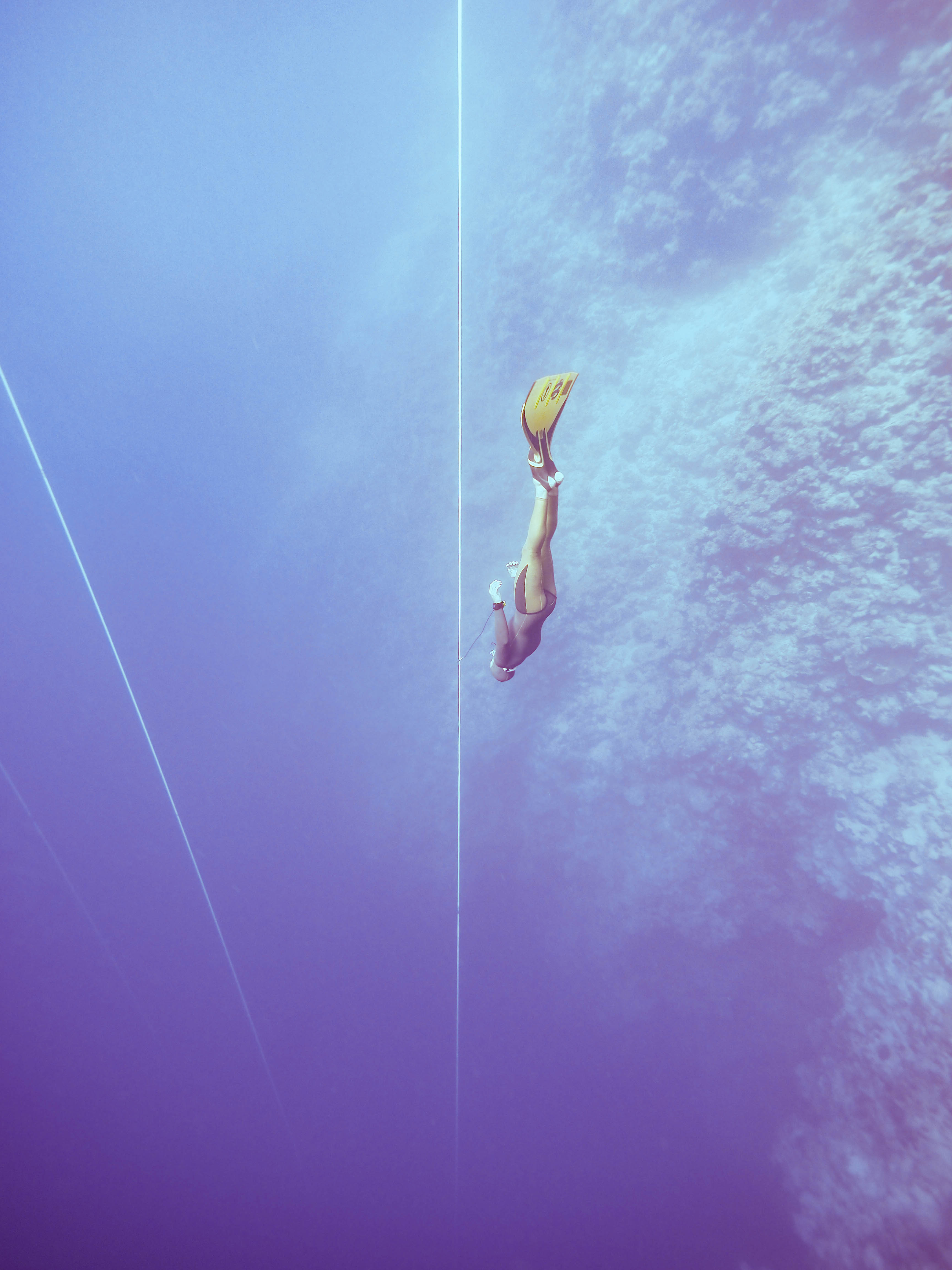 what-goes-through-the-mind-of-a-freediver-during-a-deep-dive