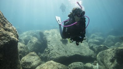 scuba diver pride