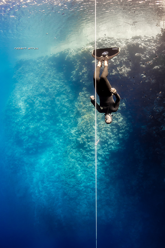 Professional freediver 