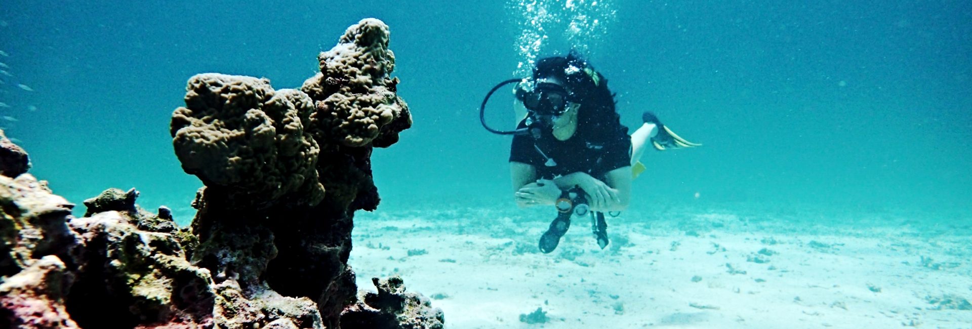 Confessions of a Shy Scuba Diver in India