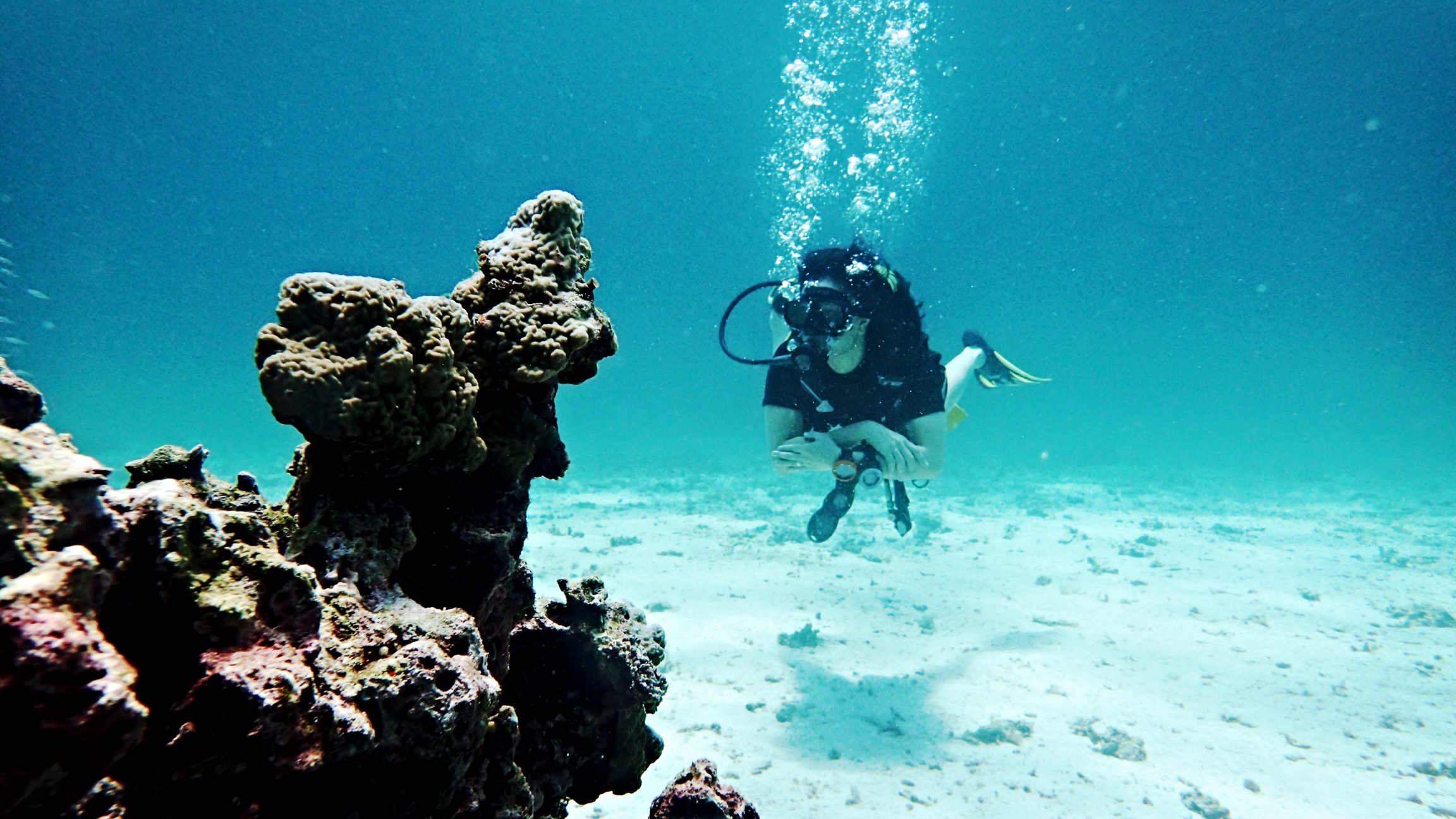 Diving in India