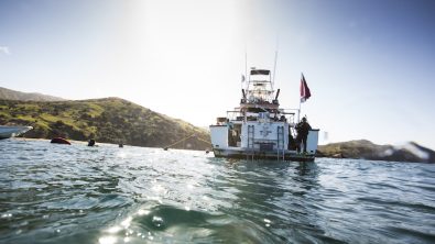 catalina island Photo: Tod Warren