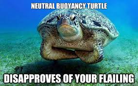 neutral buoyancy turtle 