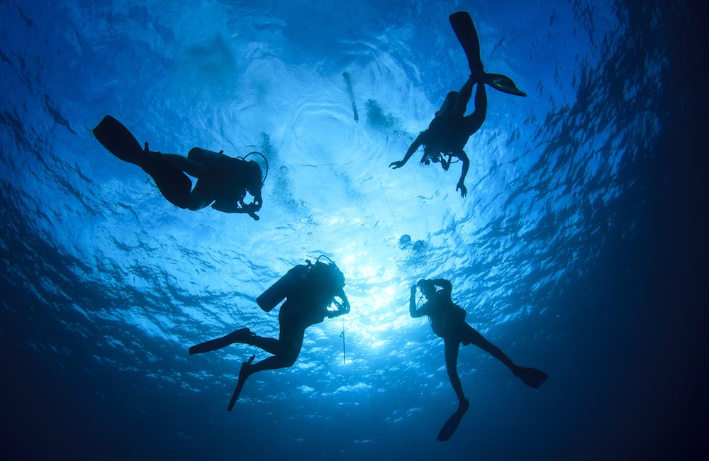 Dive Accident Case Studies: Ear Injuries