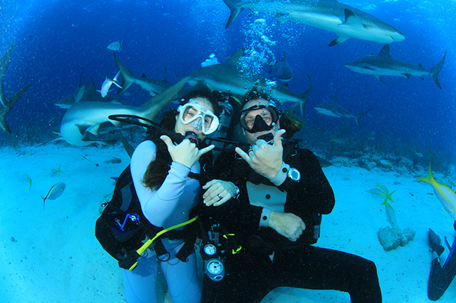 Diving Wife and Husband