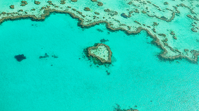 Diving bucket list, Great Barrier reef