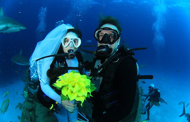 Diving Wife Underwater Wedding