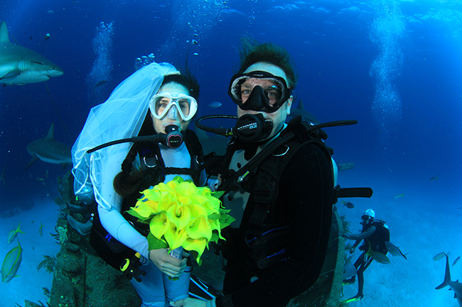 A bride and groom getting married underwater which is just one of the things scuba divers can do to re-create life on land