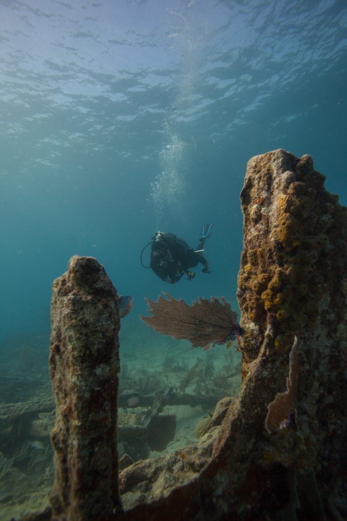 Diver exploring the shipwreck City of Washington. Photo: NOAA