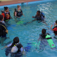 jsis learning to dive in a swimming pool