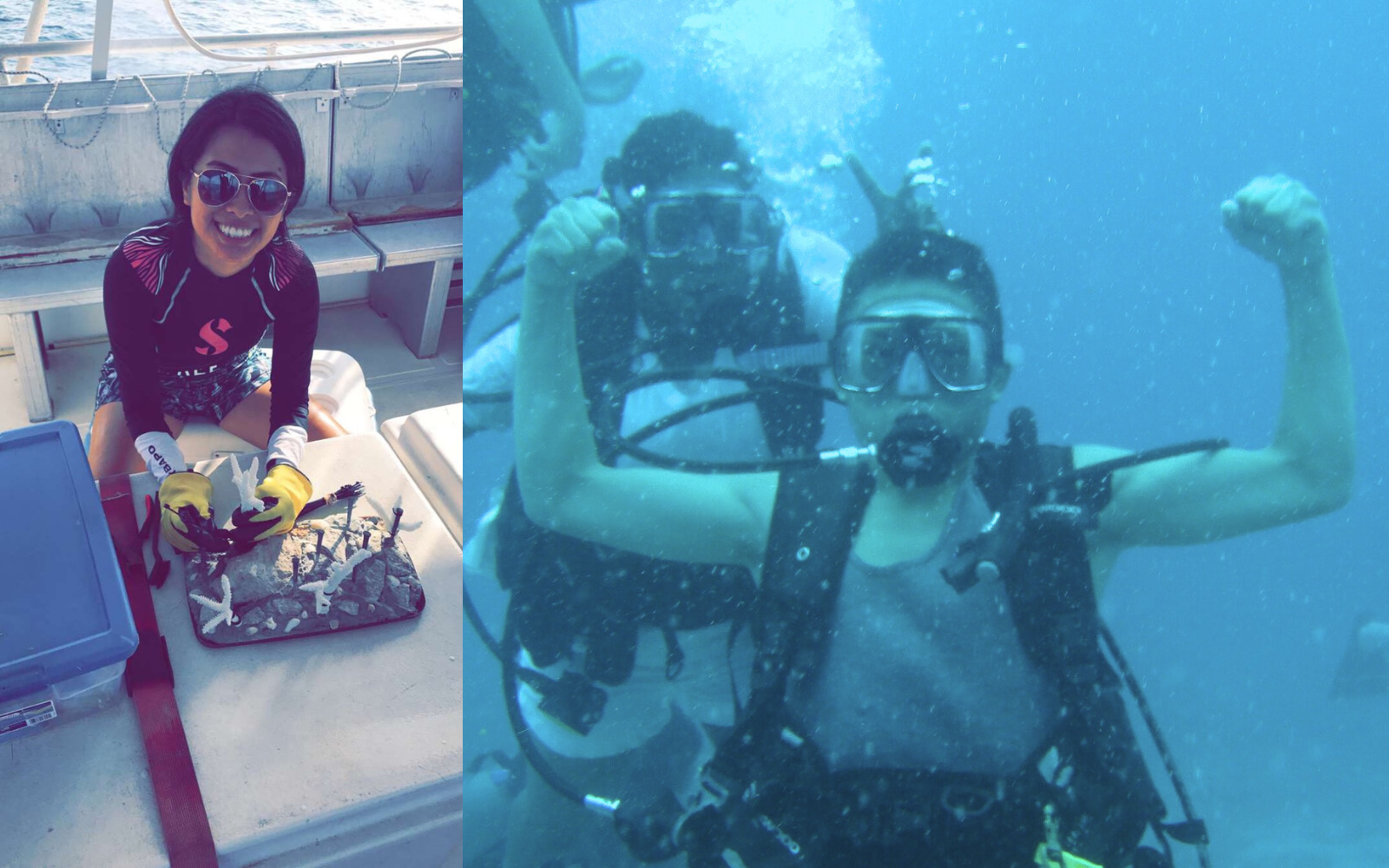 split image diving coral restoration