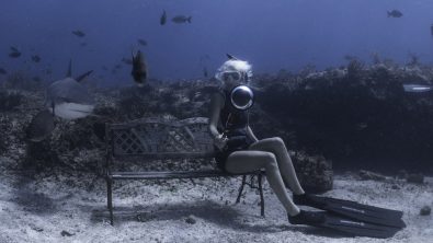 Jillian Morris freediving with Caribbean reef sharks Photo: Duncan Brake