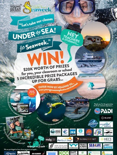 Young Ocean Explorers and NZAEE Seaweek Contest