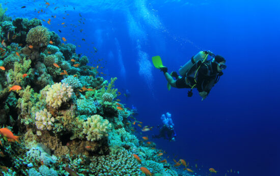 The Top 5 Scuba Diving Destinations in April