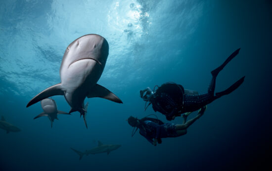 two divers explore a dive site