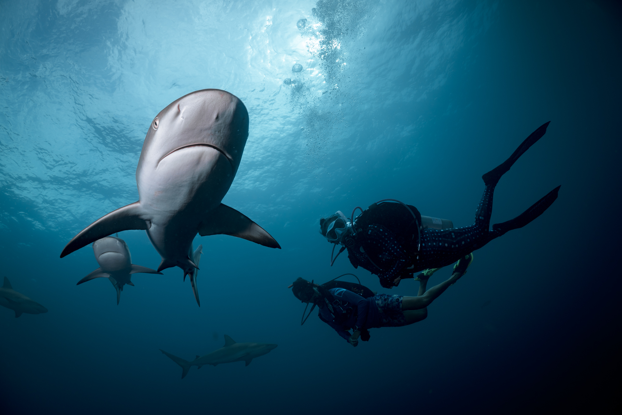 Les 5 meilleures destinations de plongée en avril, image size:2000x1333