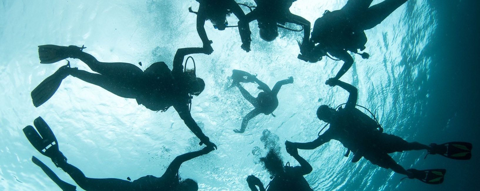 What it Looks Like When Three Generations Dive Together