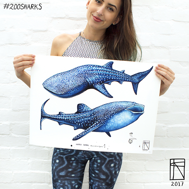 Francesca Page 200 Sharks Artist
