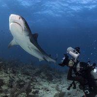 Underwater photography