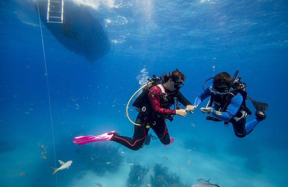 Twitter for Scuba Divers: Top 40 Accounts to Follow