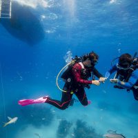 how to choose a dive computer