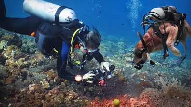PADI Pet Specialty Blog image