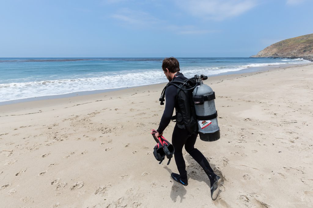 california shore diving photo by brent durand