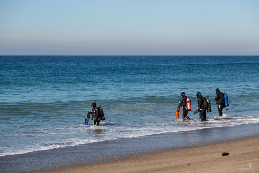 california shore diving photo by brent durand