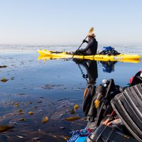 kayak diving in california
