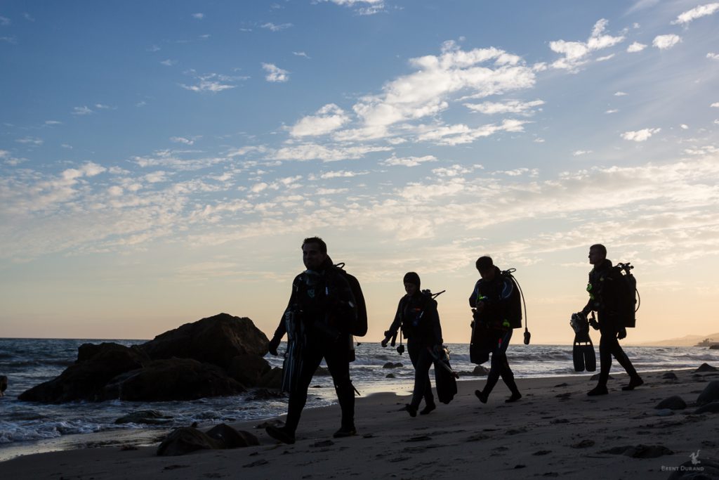 california shore diving photo by brent durand