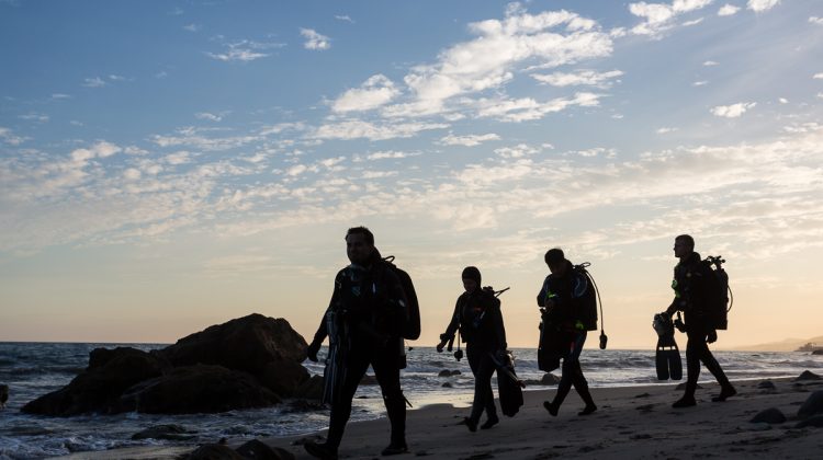 california shore diving photo by brent durand
