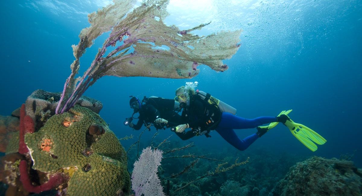 The World’s Best Liveaboards for Learning to Dive