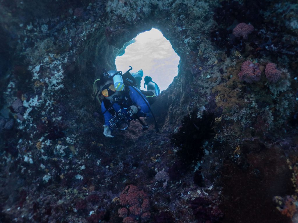 diving in raja ampat 