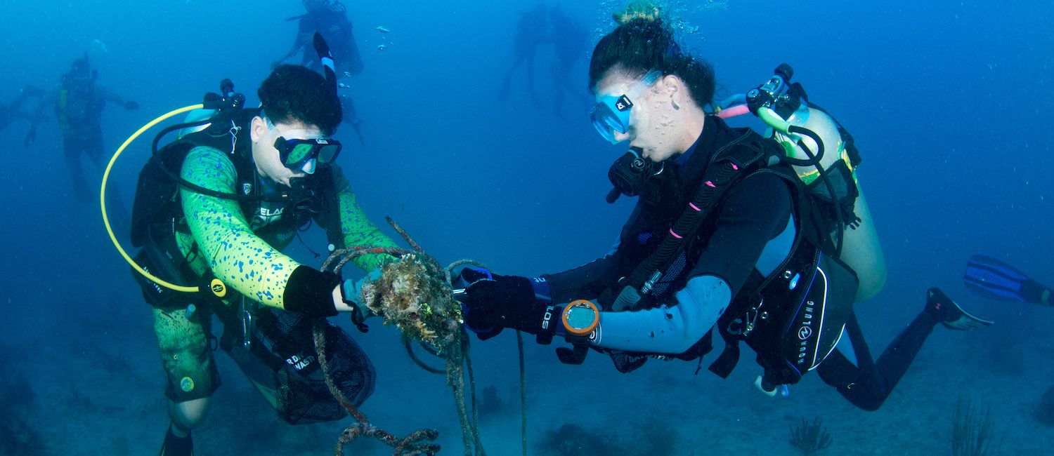 What You Need to Know to Organize a Coastal Cleanup