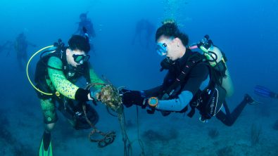 underwater cleanup