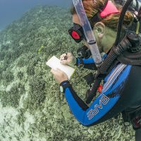 Essential dive gear for ocean conservationists - Slate