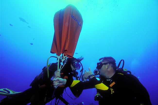 Essential dive gear for ocean conservationists - lift bag