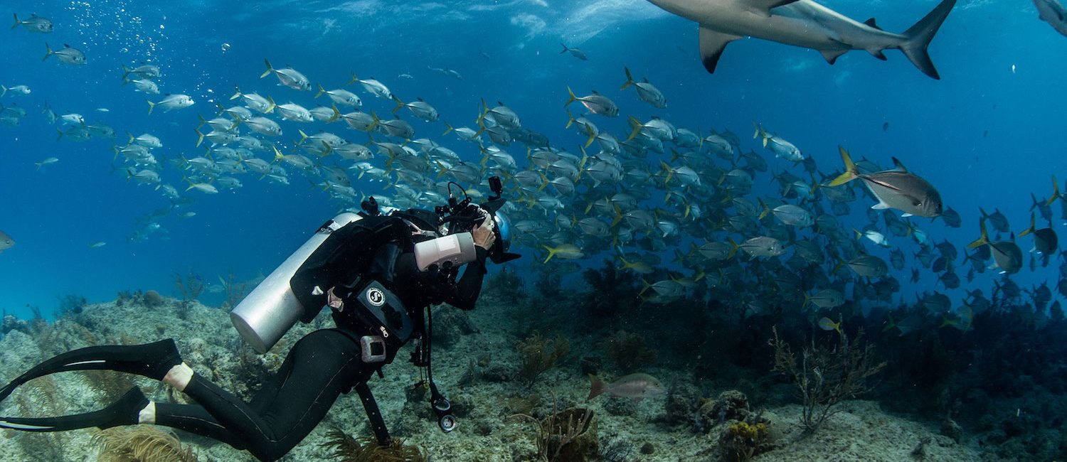 Women in Diving: Ocean Conservationists
