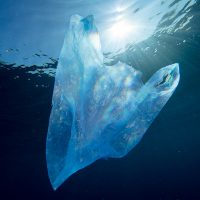 New world of conservation plastic bag