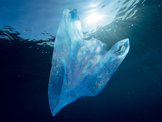 A plastic bag floating in the ocean, showing how plastic bags are one of the most common types of marine debris