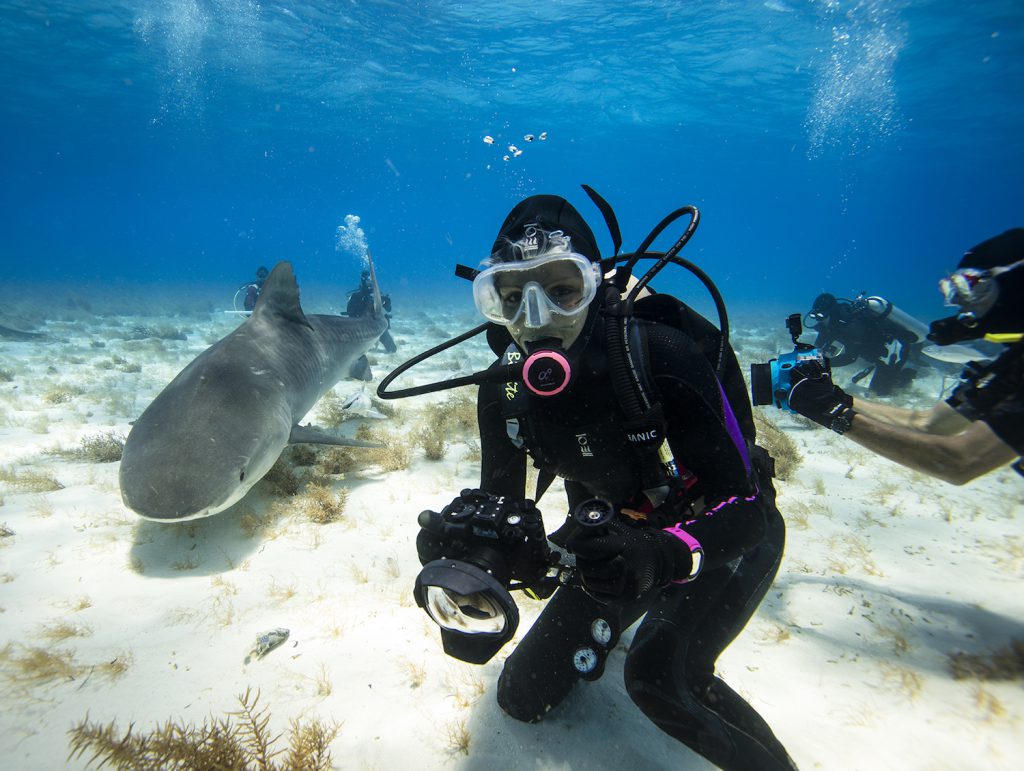 Danny Tayenaka jillian morris shark diver