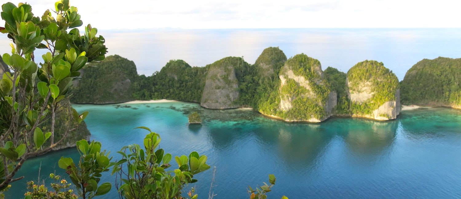 Local-to-Global Conservation