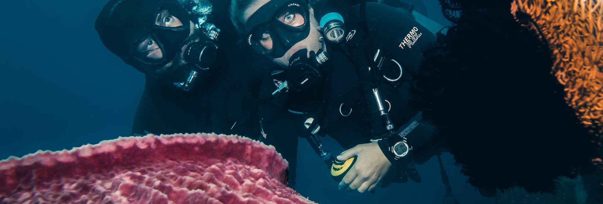 Introducing PADI AmbassaDivers, The Jetlagged